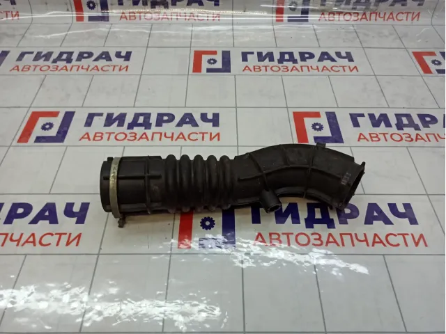 Патрубок воздушного фильтра Lada Largus 8450020039