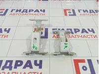 Петли двери багажника правые Lada Largus
