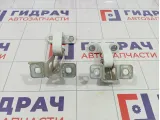Петли двери багажника правые Lada Largus