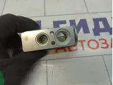 Клапан кондиционера Lada Largus 6001547682