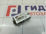Клапан кондиционера Lada Largus 6001547682