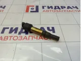 Катушка зажигания Lada Largus 2112370501015