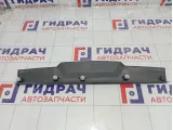 Накладка двери (крышки) багажника центральная Lada Priora 21716302078