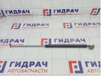 Амортизатор крышки (двери) багажника Lada Priora 21118231011