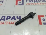 Катушка зажигания Lada Priora 2112370501011