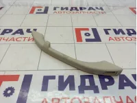 Ручка внутренняя потолочная Lada Priora (2170)