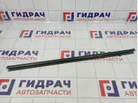 Накладка стекла заднего левого Lada Priora (2170) 2170620329101