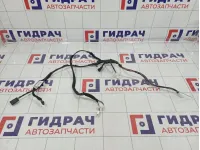 Проводка двери передней левой Lada Priora (2170) 21720372455140