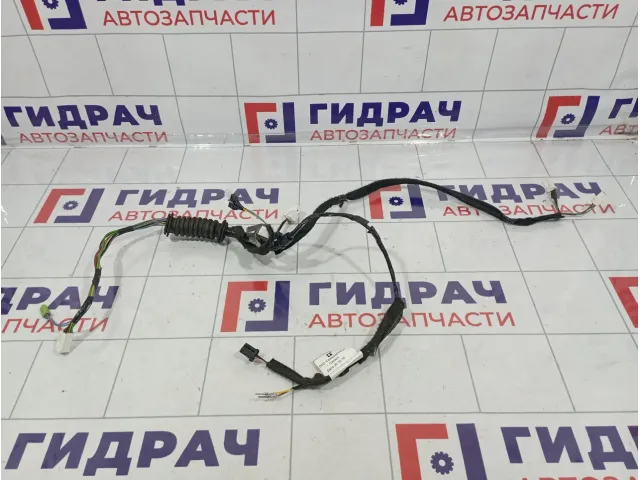 Проводка двери передней правой Lada Priora (2170) 21720372455040