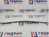 Накладка капота Lada Priora (2170) 2170840210410