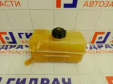 Бачок расширительный Lada Priora 217001300060