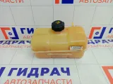 Бачок расширительный Lada Priora 217001300060
