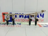 Топливная рампа (топливная рейка) в сборе Lada Priora 11181132010