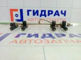 Топливная рампа (топливная рейка) в сборе Lada Priora 11181132010