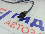 Датчик абсорбера Lada Priora 217021164042