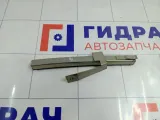 Направляющая стекла двери заднего левого Lada Priora