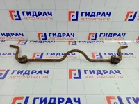 Стабилизатор передний Lada Priora 21700290601002