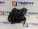 Коллектор впускной Lada Priora 21116100860010