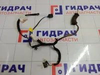 Проводка двери передней левой Lada Priora 21702372455130