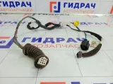 Проводка двери передней левой Lada Priora 21702372455130
