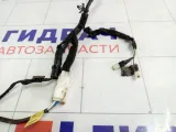 Проводка двери передней левой Lada Priora 21702372455130