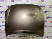 Капот Lada Priora 21700840201000
