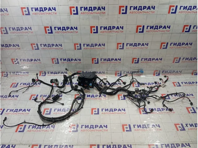 Проводка подкапотная Lada Vesta 8450006883