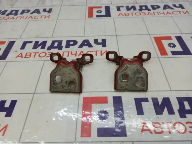 Петли двери задней правой Lada Vesta