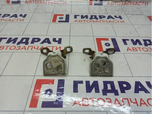 Петли двери задней левой Lada Vesta
