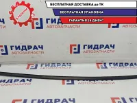 Молдинг крыши левый Lada Vesta 8450008078.