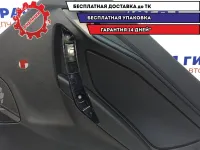 Обшивка двери задней правой Lada Vesta 8450006535.