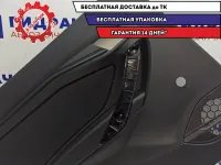 Обшивка двери задней левой Lada Vesta 8450006536.