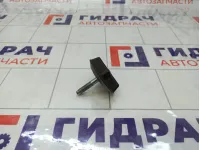 Крепление (болт) запасного колеса Lada Vesta 21703105040