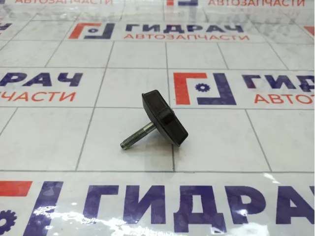 Крепление (болт) запасного колеса Lada Vesta 21703105040