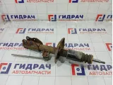 Амортизатор передний левый Lada Vesta Cross 8450034699
