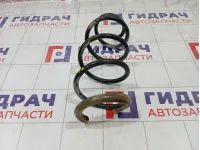 Пружина передняя Lada Vesta Cross 8450006725