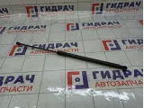 Амортизатор крышки (двери) багажника Lada Vesta Cross 8450008940