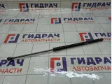 Амортизатор крышки (двери) багажника Lada Vesta Cross 8450008940