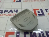 Плафон салонный передней Lada Vesta Cross 8450006958