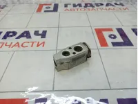 Клапан кондиционера Lada Vesta Cross 8450039727
