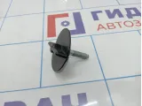 Болт крепления запасного колеса Lada Vesta 8450003584
