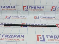 Уплотнитель стекла двери задней левой Lada Vesta 8450007854