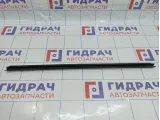Уплотнитель стекла двери передней левой Lada Vesta 8450007727