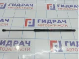 Амортизатор двери багажника Lada Vesta 8450008940