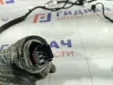 Проводка двери задняя Lada Vesta 8450007012