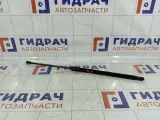 Амортизатор крышки (двери) багажника Lada Vesta 8450008940