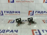 Петли двери задней правой Lada Vesta
