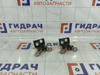 Петли двери задней правой Lada Vesta