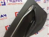 Обшивка двери задней левой Lada Vesta
