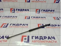 Амортизатор двери багажника Lada Vesta 8450008940